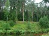 Праздник Святой Троицы Праздник Святой Троицы